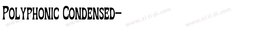 Polyphonic Condensed字体转换